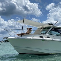 Boston Whaler 315 Conquest