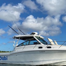 Boston Whaler 315 Conquest