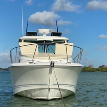 Boston Whaler 315 Conquest