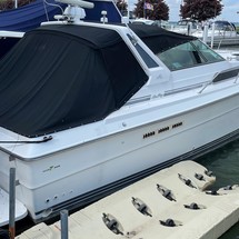 Sea ray 390 express cruiser