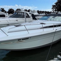 Sea ray 390 express cruiser