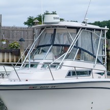 Grady white 270 islander