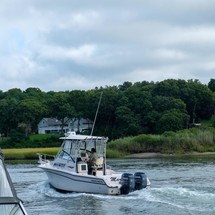 Grady white 270 islander