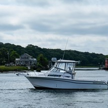 Grady white 270 islander