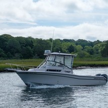 Grady white 270 islander