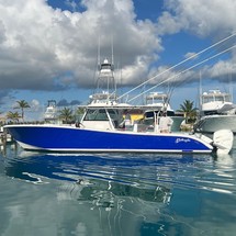 Yellowfin 42