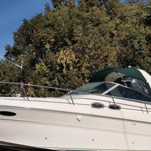 Sea Ray 310 Sundancer