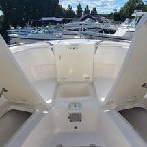 Robalo centre console r272