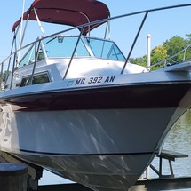 Wellcraft 290 Coastal