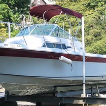 Wellcraft 290 Coastal