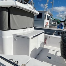 Axopar 28 Cabin