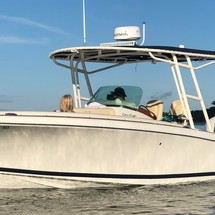 Chris-Craft Catalina 29 Sun Tender