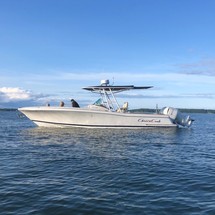 Chris-Craft Catalina 29 Sun Tender