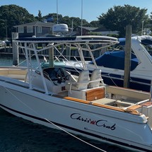 Chris-Craft Catalina 29 Sun Tender