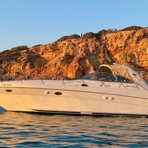 Sea Ray 460 Sundancer