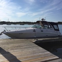 Sea ray 280 sun sport