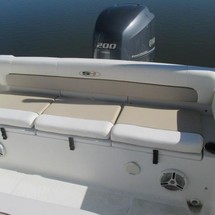 Sea Ray hunt ultra 211