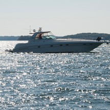 Sea Ray 460 Sundancer