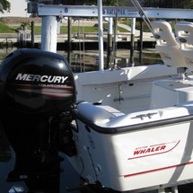 Boston Whaler 190 Outrage