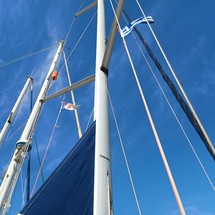 Bavaria 37