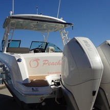 Boston Whaler 270 Vantage