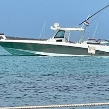 Boston Whaler 370 Outrage