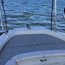 Boston Whaler 210 Dauntless