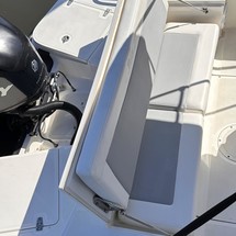 Boston Whaler 210 Dauntless