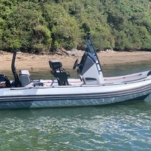 Zodiac Pro Open 550