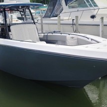 Fountain 38 center console te