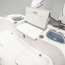 Sea Ray cat 26