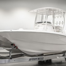 Sea Ray cat 26