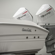 Sea Ray cat 26