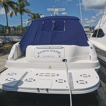 Sea Ray 460 Sundancer