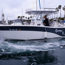 Sea Fox 288 Commander