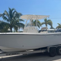 Sea Ray pro 220 walkaround