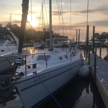 Catalina 375