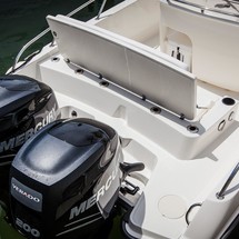 Boston Whaler 270 Dauntless