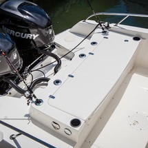 Boston Whaler 270 Dauntless