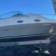 Sea Ray 240 Sundancer