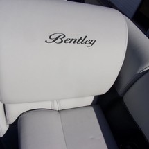 Bentley 200 fish