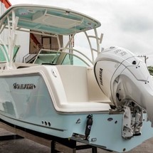 Sailfish 245 DC