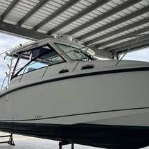 Boston Whaler 315 Conquest