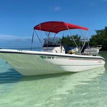 Boston Whaler 180 Dauntless