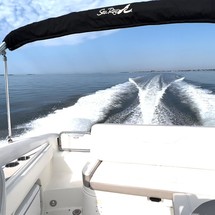 Sea Ray 240 Sundeck