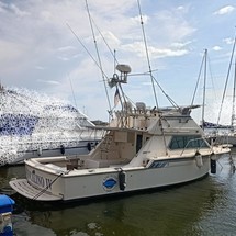 Colombo 32 Super Indios Sport Fisherman