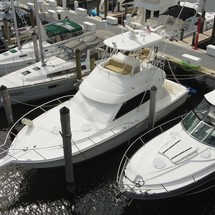 Egg harbor 37 convertible