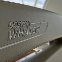 Boston Whaler 350 Realm